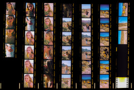 Araceli Navarro Torres