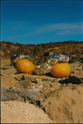 Araceli Navarro Torres