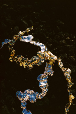 Araceli Navarro Torres