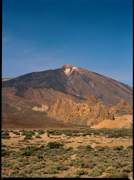 Araceli Navarro Torres
