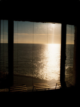 Araceli Navarro Torres