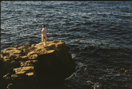 Araceli Navarro Torres