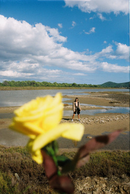 Araceli Navarro Torres