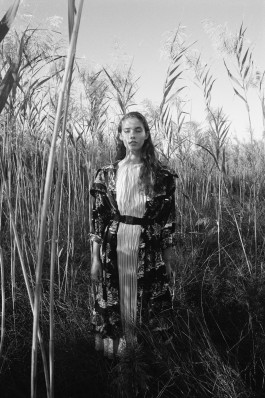 Araceli Navarro Torres