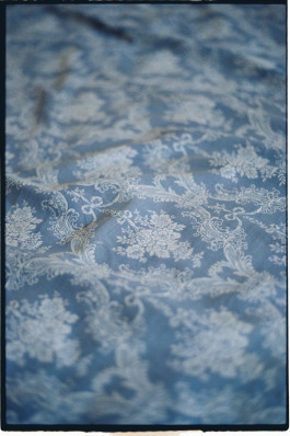 Araceli Navarro Torres