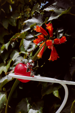 Araceli Navarro Torres