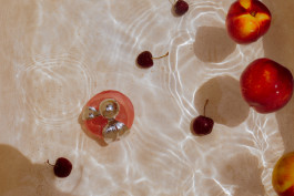 Araceli Navarro Torres