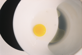 Araceli Navarro Torres