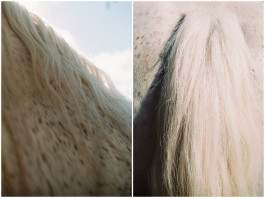 Araceli Navarro Torres