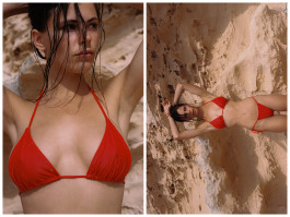 Araceli Navarro Torres