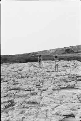 Araceli Navarro Torres