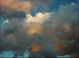 Araceli Navarro Torres