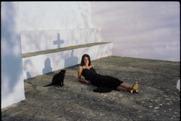 Araceli Navarro Torres