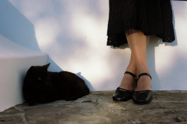 Araceli Navarro Torres