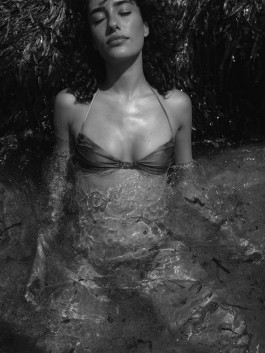 Araceli Navarro Torres