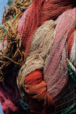 Araceli Navarro Torres