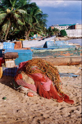 Araceli Navarro Torres