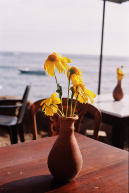 Araceli Navarro Torres