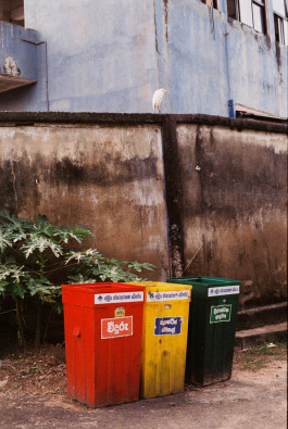 Araceli Navarro Torres