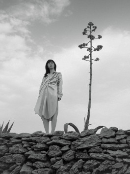 Araceli Navarro Torres