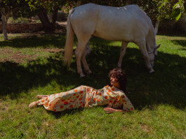 Araceli Navarro Torres