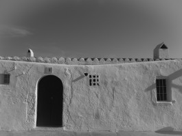 Araceli Navarro Torres