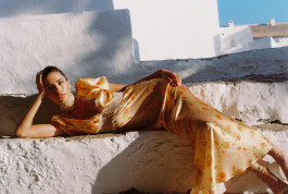 Araceli Navarro Torres